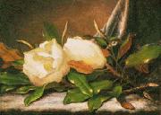 Martin Johnson Heade Giant Magnolias oil